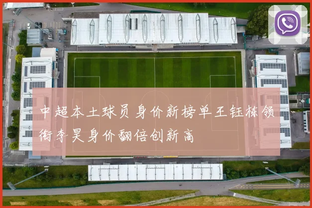 中超本土球员身价新榜单王钰栋领衔李昊身价翻倍创新高